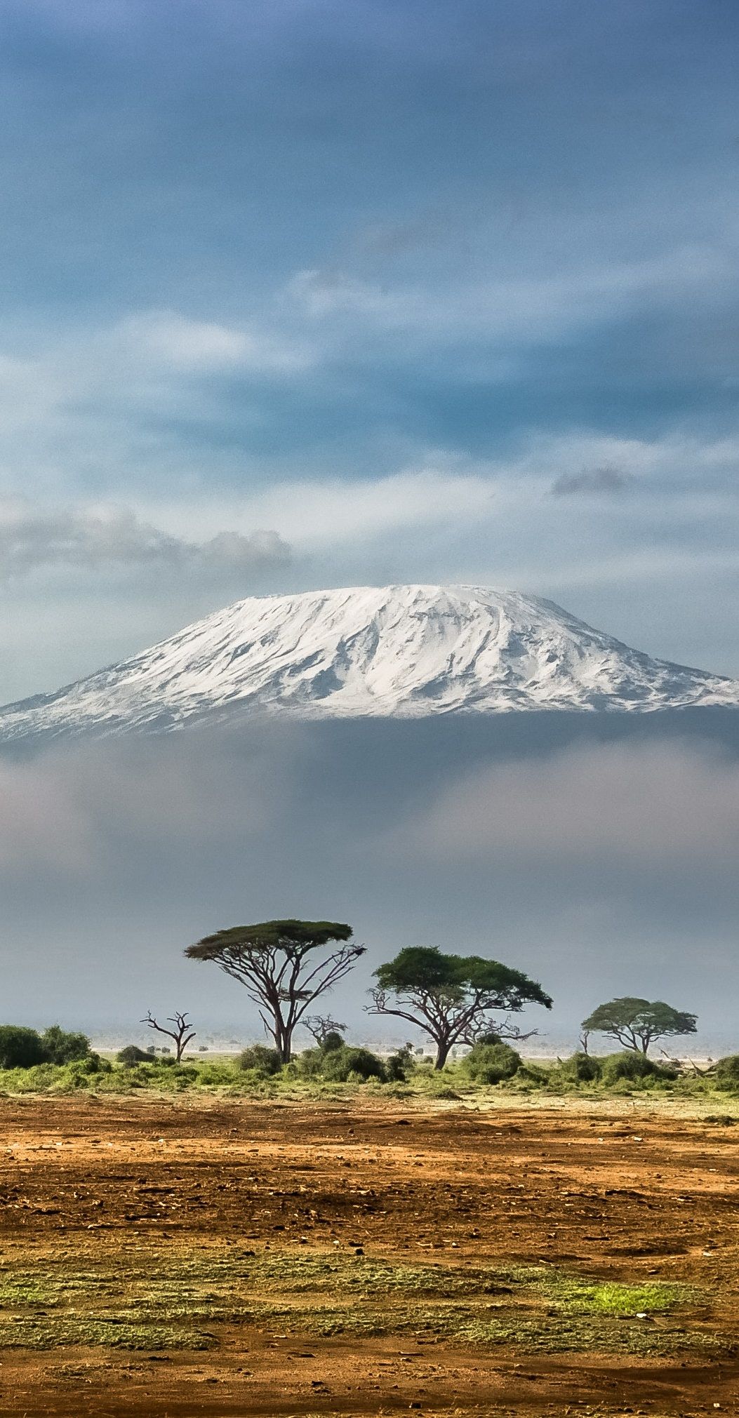 Thripy | Kilimanjaro, Africa 4K Video City Trip